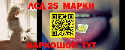 СК Камышлов