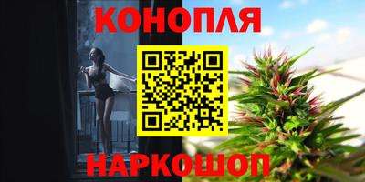 тгк Канаш
